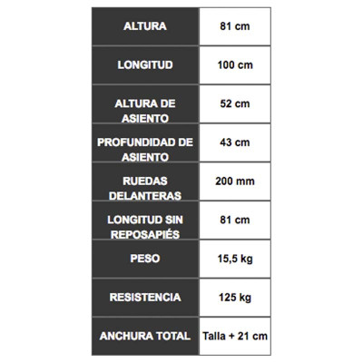 Forta Trial Playa, Silla de Ruedas Todoterreno con Accesorios